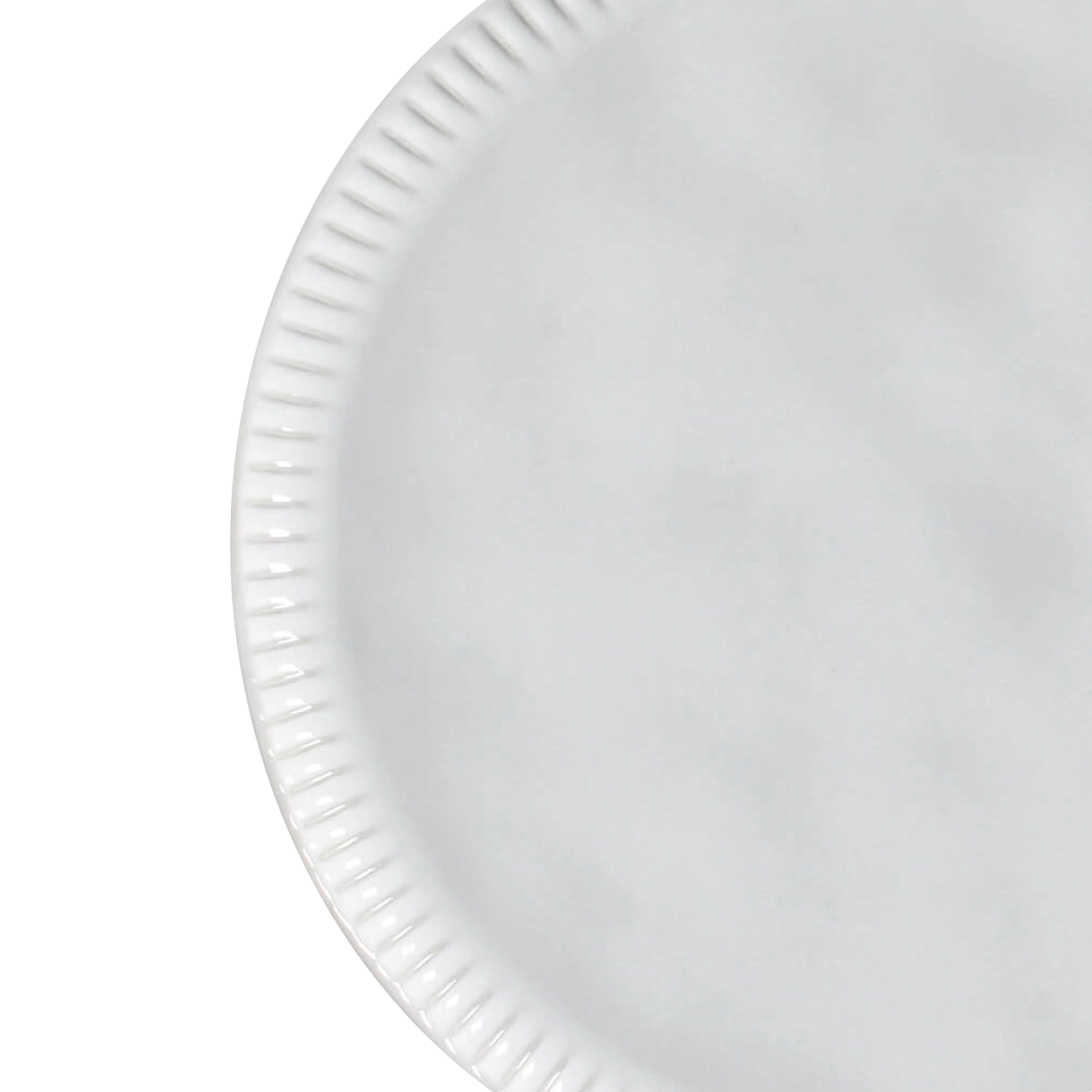 Organic Dinner Plate Radial White detail