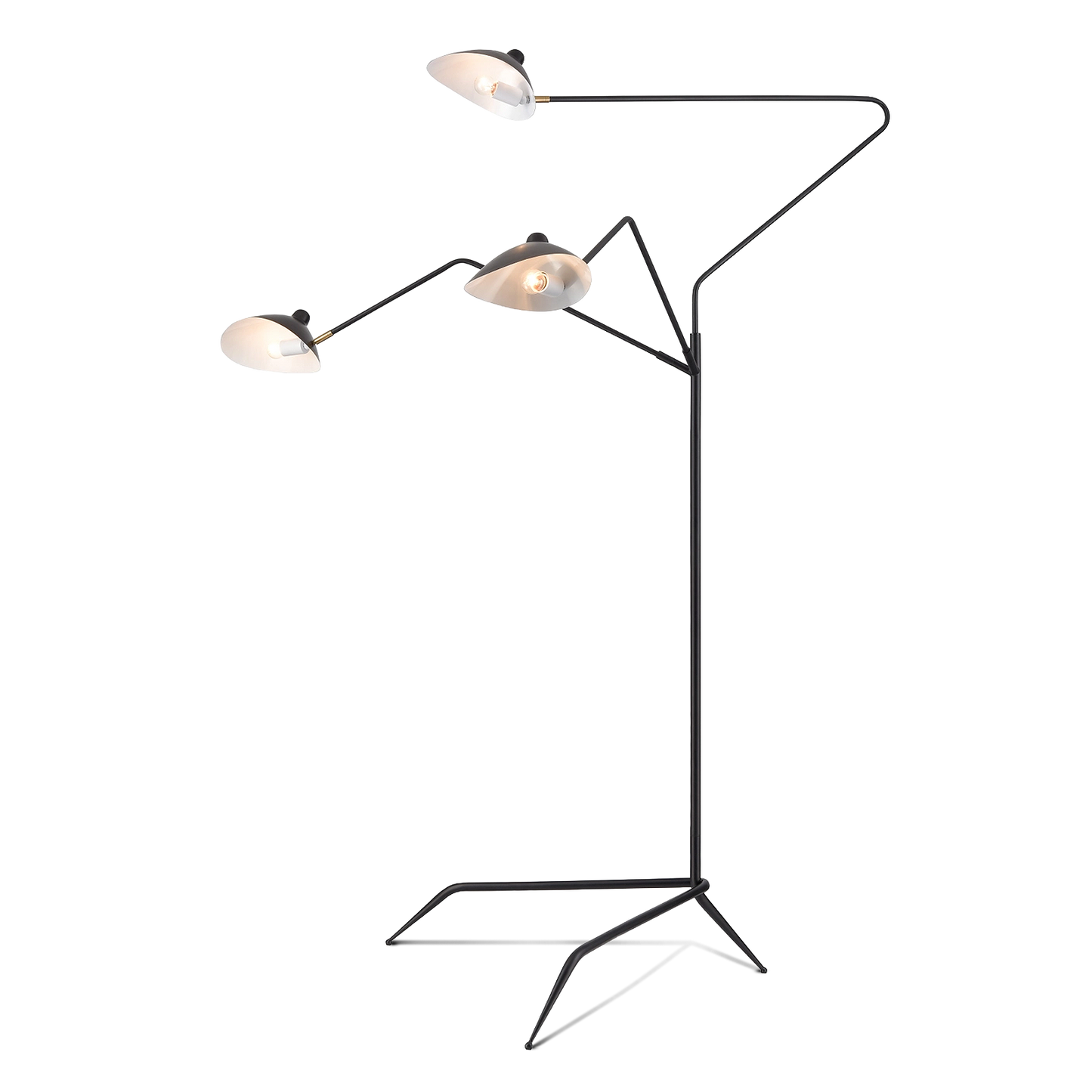 Cory Three Light Floor Lamp