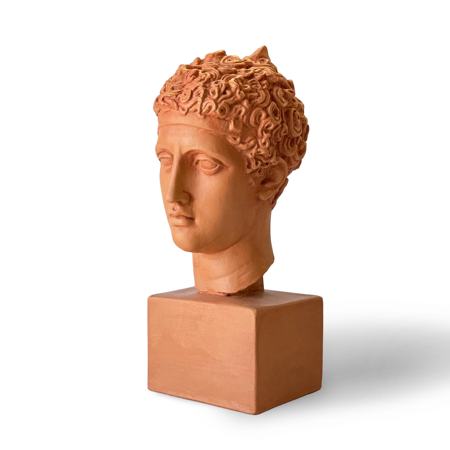 Perseus Plaster Bust Side