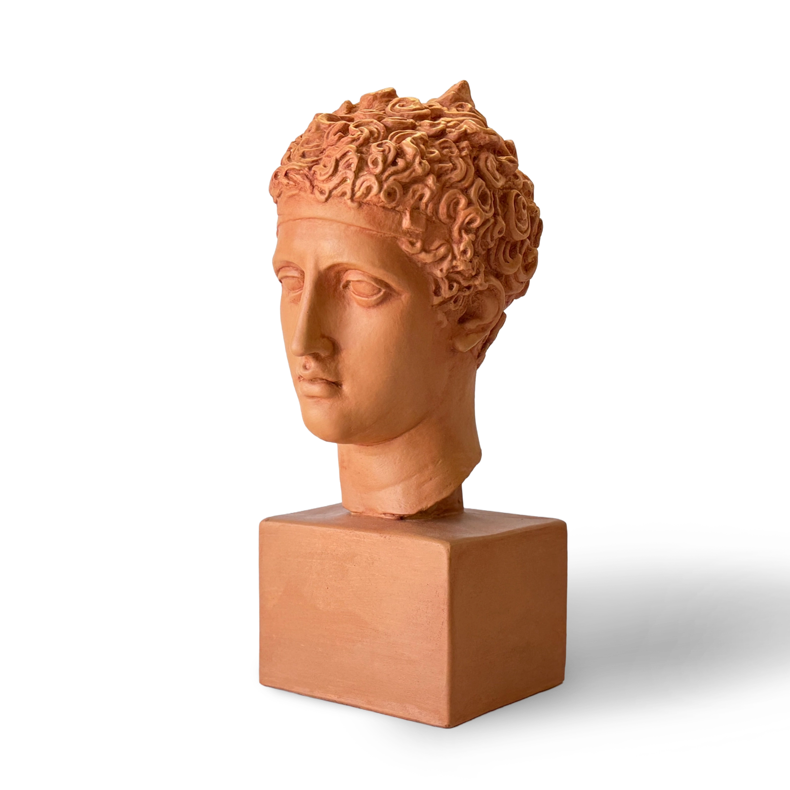 Perseus Plaster Bust Side