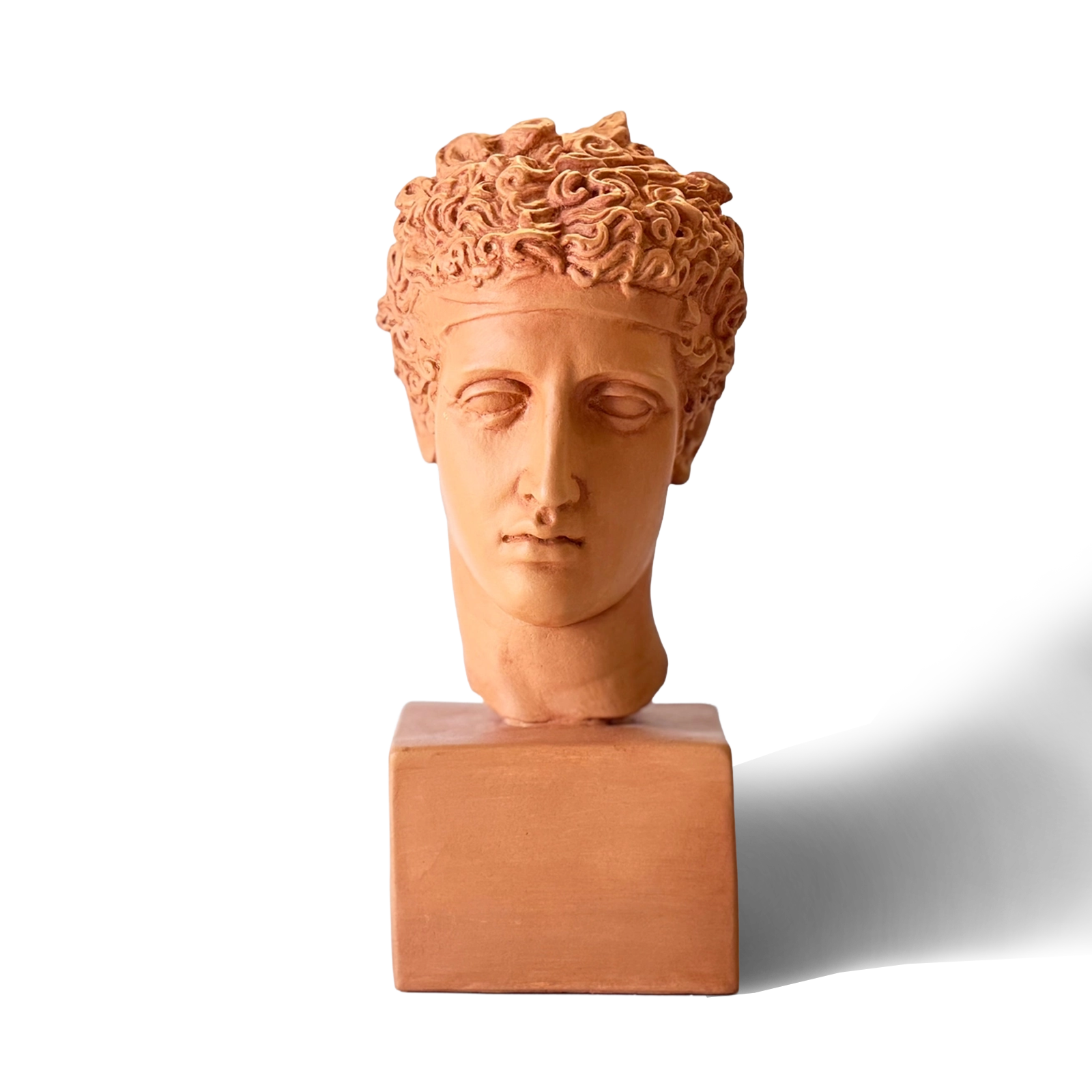 Perseus Plaster Bust
