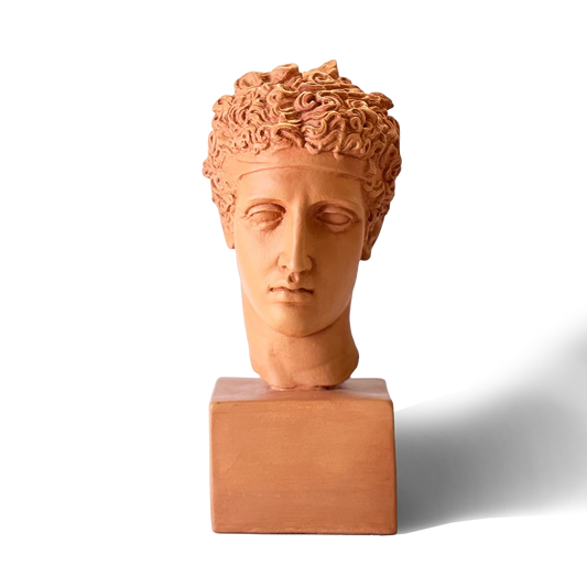 Perseus Plaster Bust
