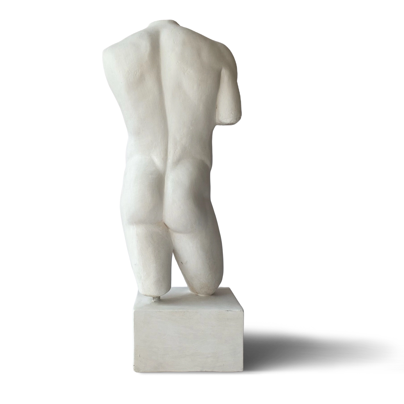 Roman Nude Male Torso back