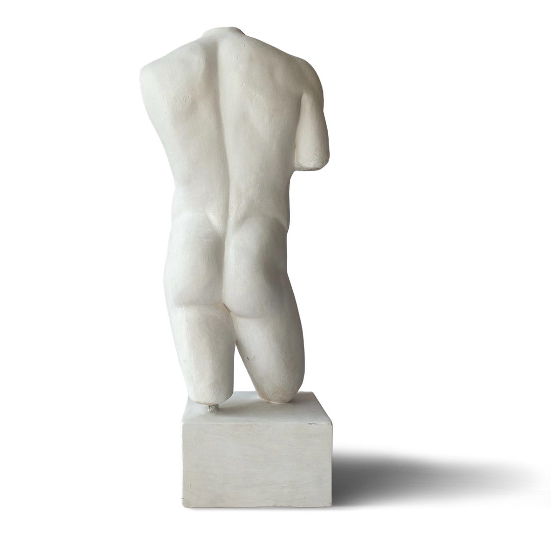Roman Nude Male Torso back