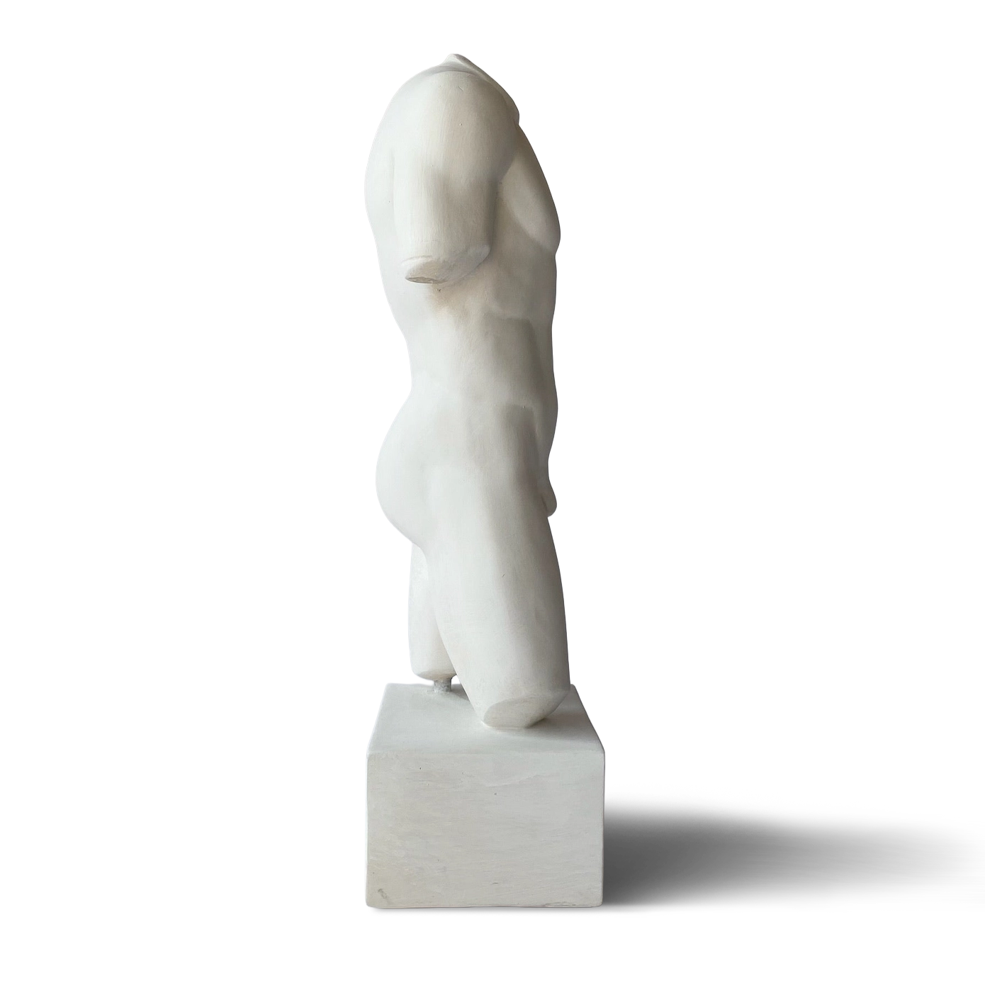 Roman Nude Male Torso profile