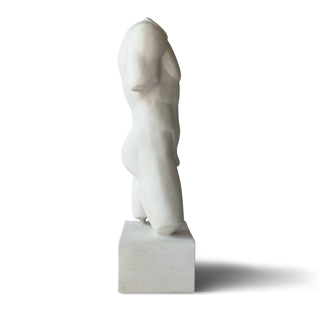 Roman Nude Male Torso profile