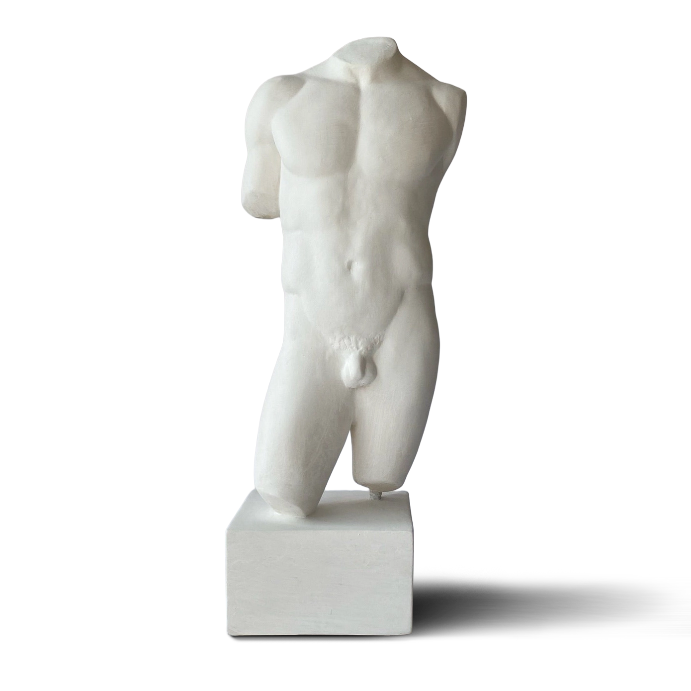 Roman Nude Male Torso
